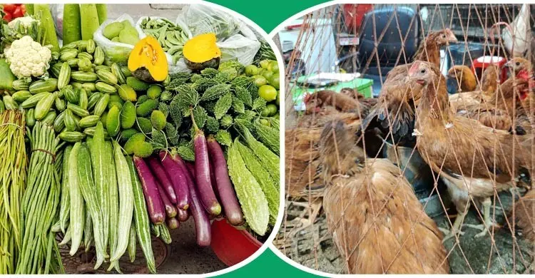 বেশিরভাগ সবজির কেজি ৮০ টাকার ওপরে, কমছে মুরগির দাম