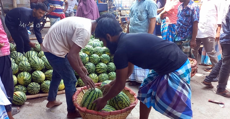 চৈত্রের শুরুতে বাজারে তরমুজ, দামও চড়া