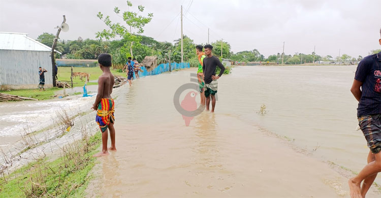 বাঁধ ভেঙে রাঙ্গাবালীর ২০ গ্রাম প্লাবিত