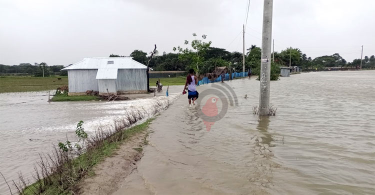 বাঁধ ভেঙে রাঙ্গাবালীর ২০ গ্রাম প্লাবিত