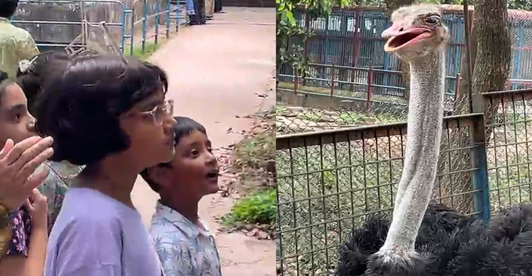 উটপাখি দেখে উৎফুল্ল শিশুরা