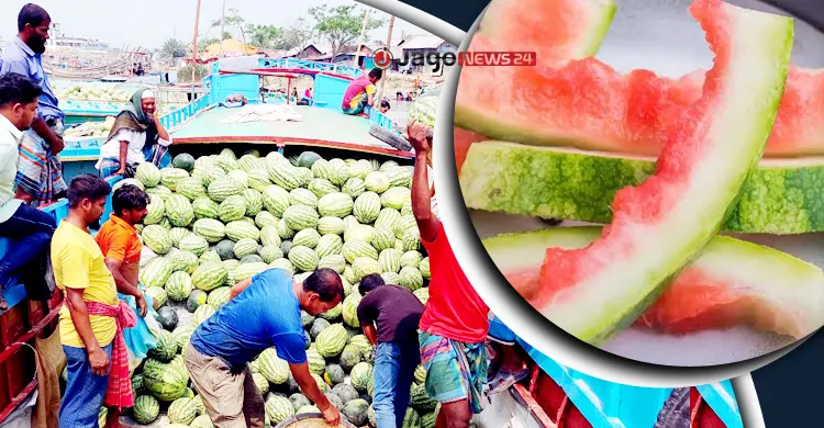 তরমুজের খোসায় নতুন সম্ভাবনা, খাদ্য থেকে হতে পারে আয়ের উৎস