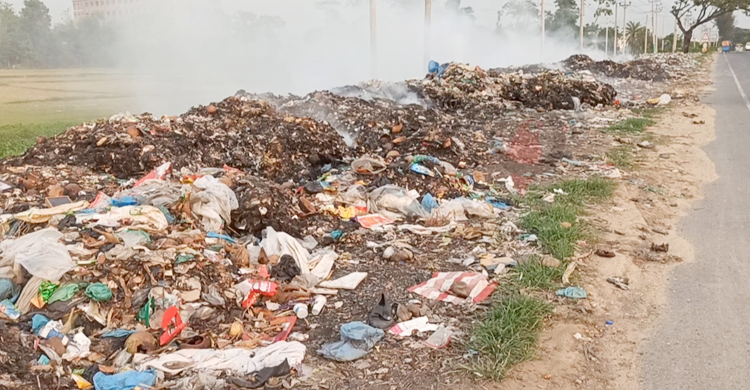 চৌদ্দগ্রাম পৌরসভার ময়লার গন্ধে মহাসড়কে চলা দায়