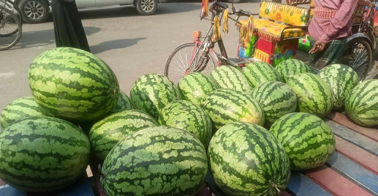 ঢাকায় তরমুজের কেজি ৪৫-৬০ টাকা