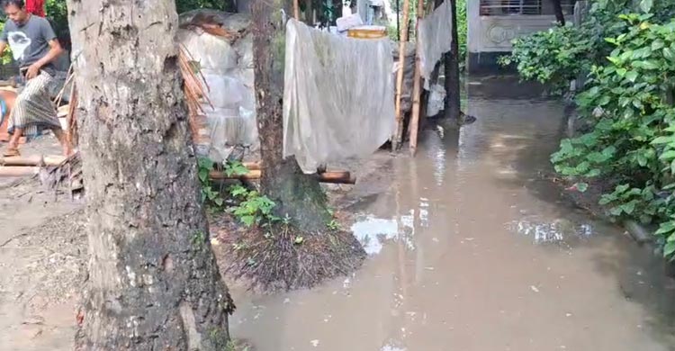 বৃষ্টি হলেই জলাবদ্ধতা, দুর্ভোগে মালোপাড়াবাসী