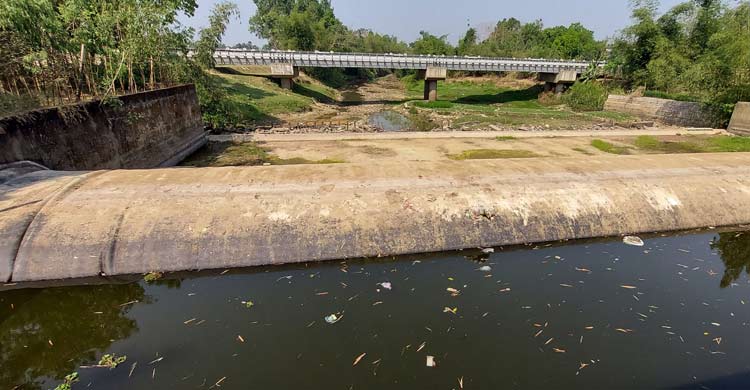 পানিশূন্য খাল, কলসির পানিতে ফসল রক্ষার চেষ্টা