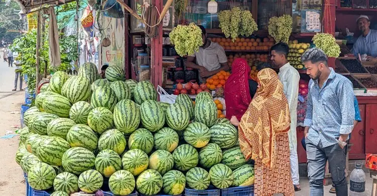 ৫০ টাকা কেজিতে নেমেছে তরমুজ, ৫০০-এর ওপরে বেদানা