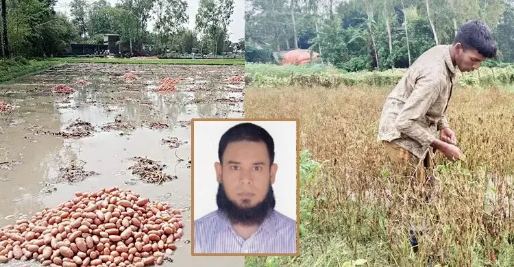 জলাবদ্ধতা কৃষি উৎপাদনের জন্য ক্ষতিকর, করণীয় কী?