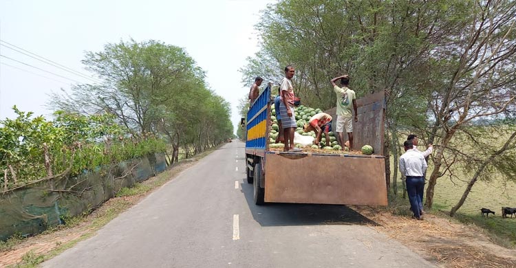 দেশের নানা প্রান্তে যাচ্ছে খুলনার তরমুজ