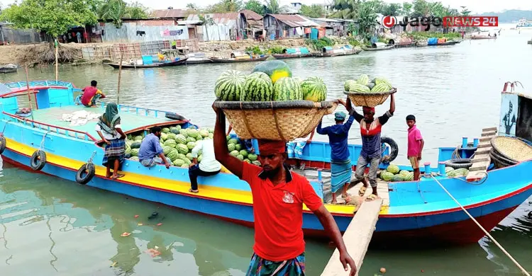 প্রযুক্তির অভাবে বছরজুড়ে মিলছে না তরমুজ