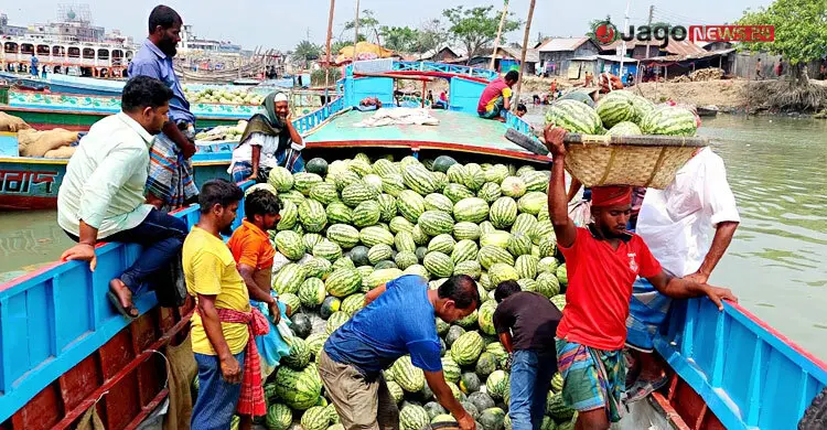 প্রযুক্তির অভাবে বছরজুড়ে মিলছে না তরমুজ