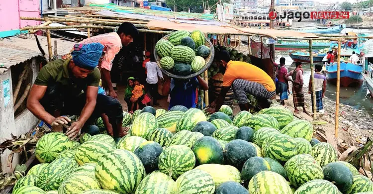 প্রযুক্তির অভাবে বছরজুড়ে মিলছে না তরমুজ