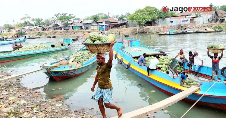 প্রযুক্তির অভাবে বছরজুড়ে মিলছে না তরমুজ