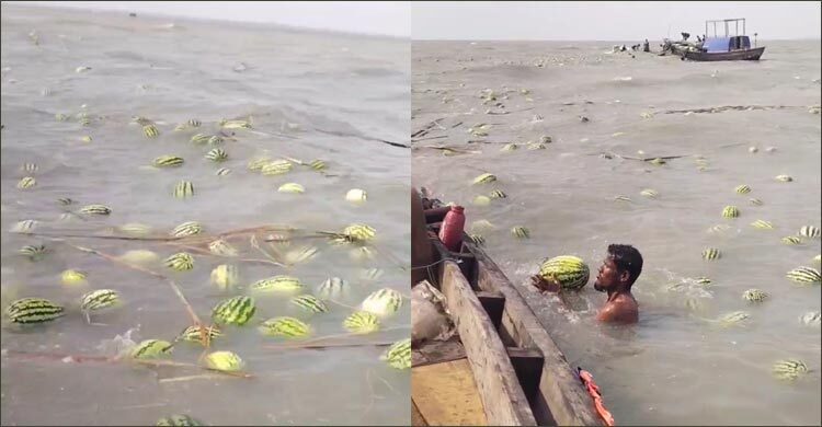 রাঙ্গাবালীতে ট্রলারডুবি, নদীতে ভেসে গেলো কৃষকের অধিকাংশ তরমুজ