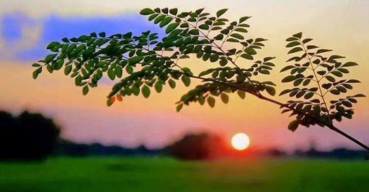 আবহাওয়ার খবর: ২ ডিসেম্বর, ২০২৩