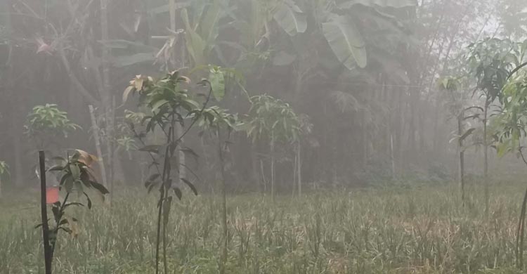 চৈত্রের মাঝামাঝিতেও রাতে শীত পঞ্চগড়ে