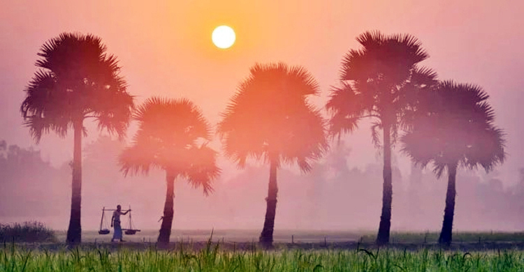 আবহাওয়ার খবর: ৯ ডিসেম্বর, ২০২৩