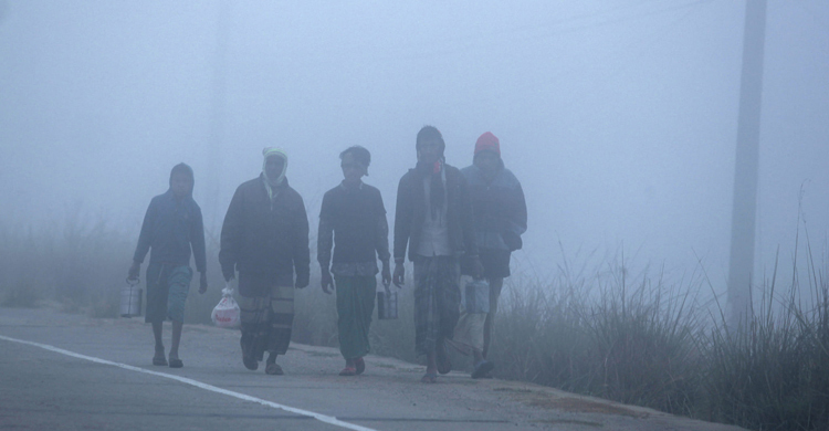 আবহাওয়ার খবর: ২০ জানুয়ারি ২০২৪