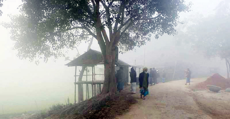 আবহাওয়ার খবর: ২৫ জানুয়ারি, ২০২৪