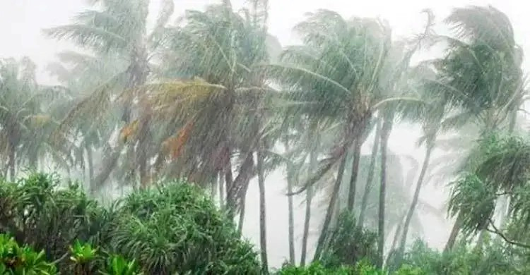 ঘূর্ণিঝড়ের আভাস