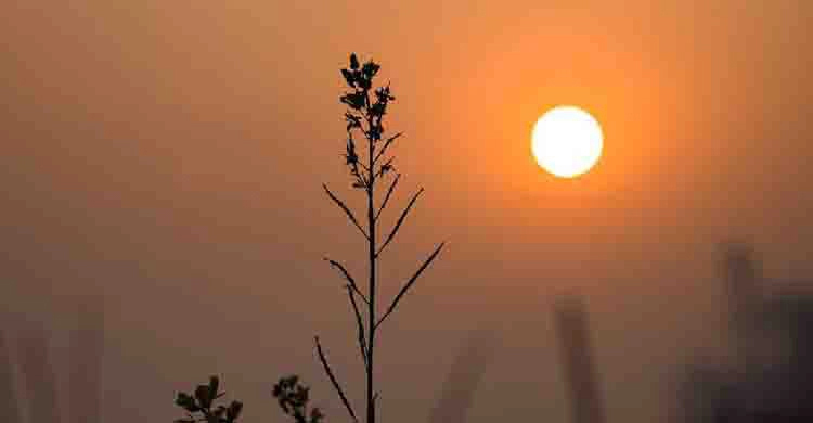 রাতের তাপমাত্রা সামান্য কমতে পারে