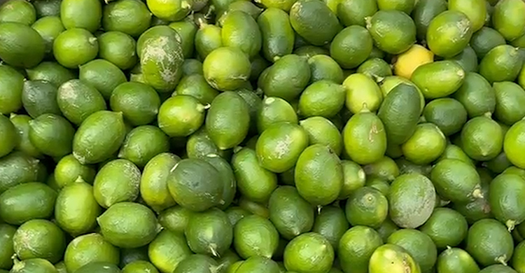 রমজান শুরুর আগেই লেবুতে উত্তাপ, হালি এখন ১০০ টাকা