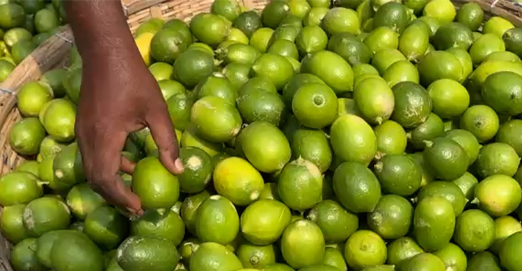 রমজানে কাঁচাবাজার নিয়ে অসন্তোষ ক্রেতাদের!