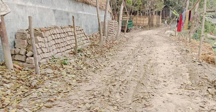 সরকারি রাস্তার ইট তুলে অবৈধভাবে মাটি বহনের অভিযোগ
