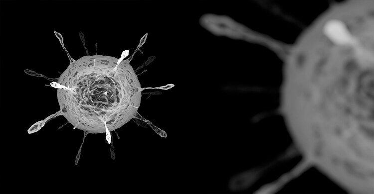 হামের লক্ষণ শুরু হলে কী করবেন?