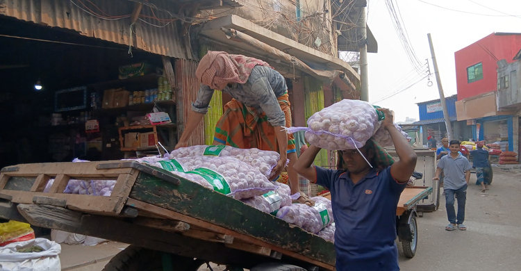 অস্বাভাবিক বেড়েছে চায়না রসুনের দাম!