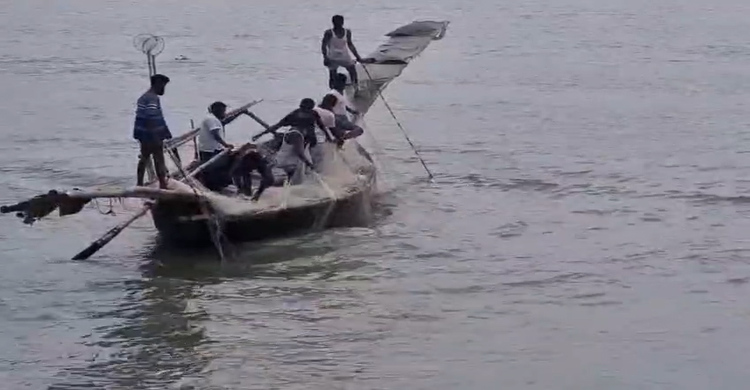 জাটকা সংরক্ষণে দুই মাস মাছ ধরা নিষিদ্ধ; পদ্মা-মেঘনায় জাল ফেললেই শাস্তি