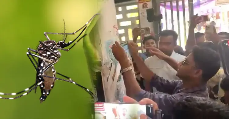 ডেঙ্গু প্রতিরোধে ঢাবি ছাত্রদল নেতার  সচেতনামূলক লিফলেট বিতরণ