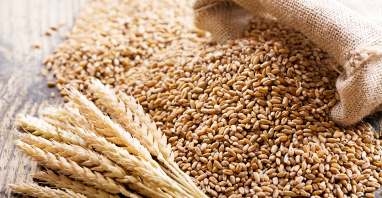 Govt to import 50,000 tonnes wheat from Switzerland at Tk 175cr