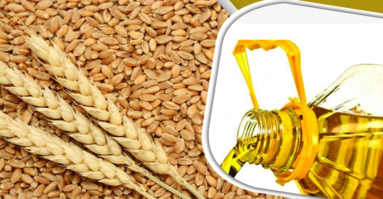 ৪৮৯ কোটি টাকার তেল-ডাল-গম কিনছে সরকার