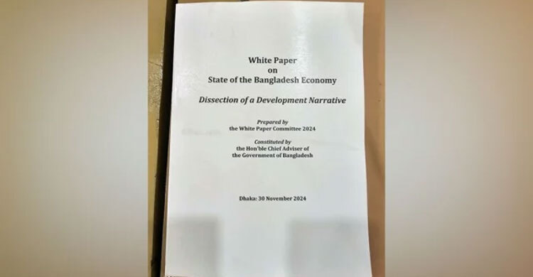 Manipulation in growth rate, development story was a lie: White Paper