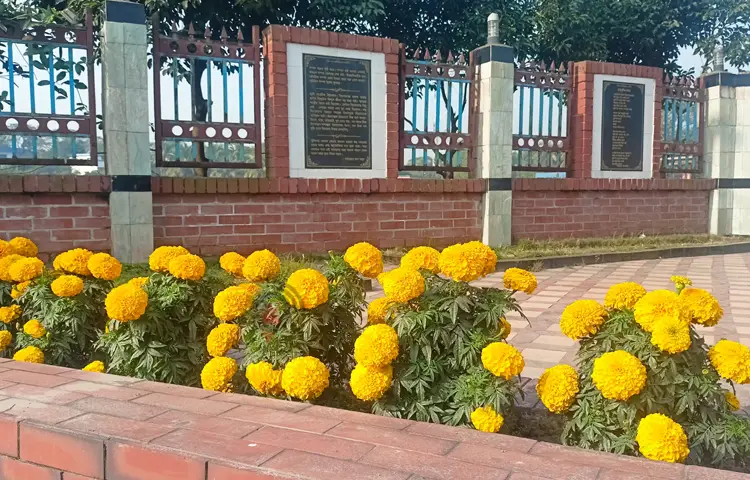 শেষ শ্রদ্ধায় গোলাপ নয়, গাঁদাই কেন