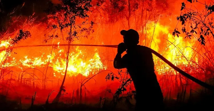 খরা ও এল নিনোর প্রভাবে ইন্দোনেশিয়ায় ভয়াবহ দাবানল