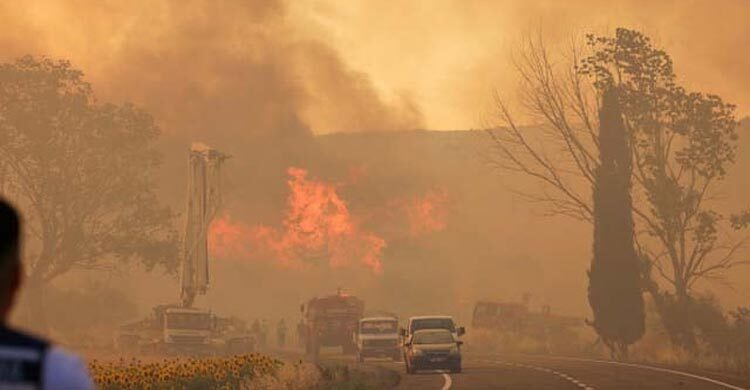 Turkey wildfire kills 12 and devastates flocks