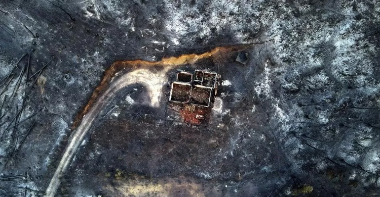 18 bodies found in Greek forest hit by wildfires