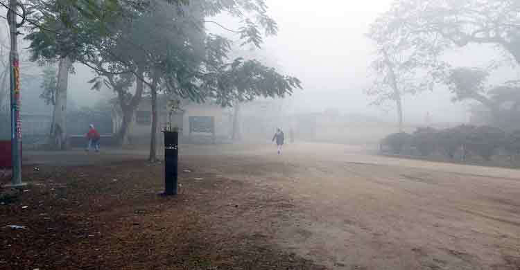Cold wave hits 2 dists, may spread to northern, western regions