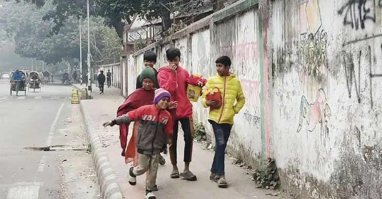 হাড় কাঁপানো শীত, তবু থেমে নেই জীবন