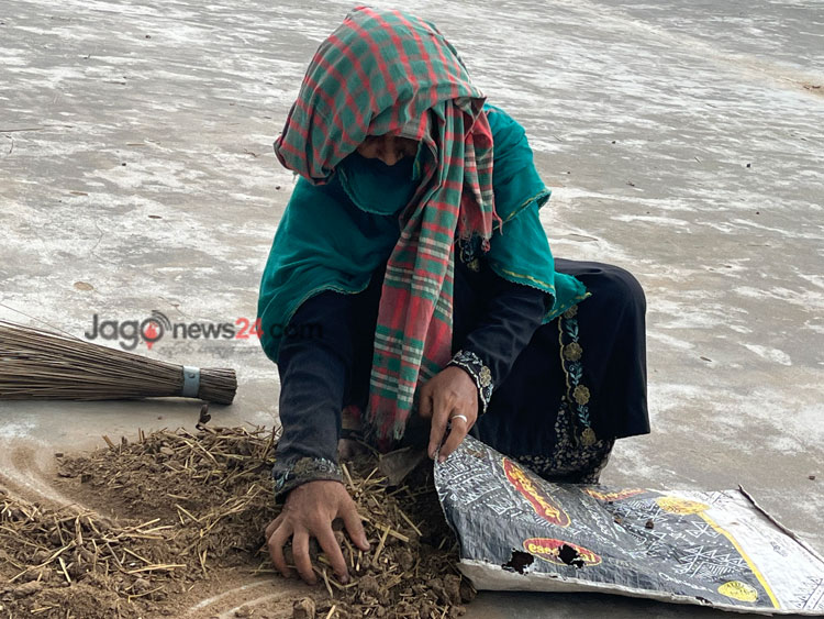 নতুন নেতা চান স্বরূপনগরের হাওয়ানূর বেগম-ছবি জাগো নিউজ