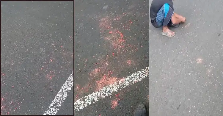ঢাকা-চট্টগ্রাম ‎মহাসড়কে ছড়িয়ে ছিটিয়ে হাজার হাজার ইয়াবা