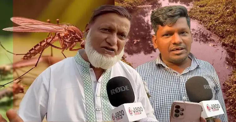 ঢাকায় মশার বিপৎসংকেত, মার্চে আরও বাড়বে উপদ্রব