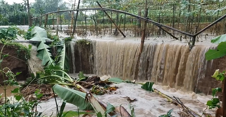 হঠাৎ পাহাড়ি ঢলে শেরপুরের নিম্নাঞ্চল প্লাবিত