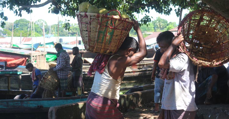 পাহাড়ের জাম্বুরার কদর বাড়ছে সারাদেশে