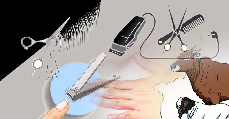 জিলহজের চাঁদ দেখার পর যেসব কাজ নিষেধ