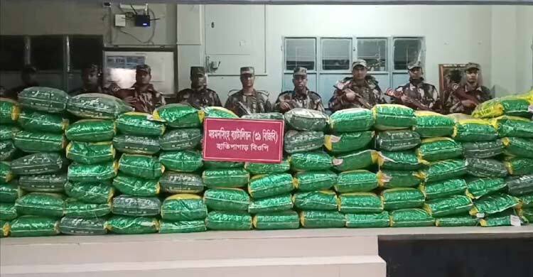 শেরপুর সীমান্তে ৬ টন ভারতীয় জিরা উদ্ধার