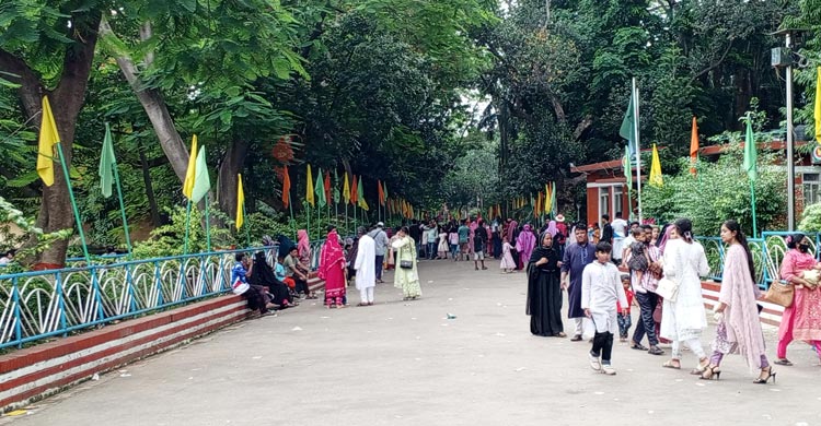 চিড়িয়াখানায় উপচেপড়া ভিড়, গাছের ছায়ায় খুঁজছেন প্রশান্তি