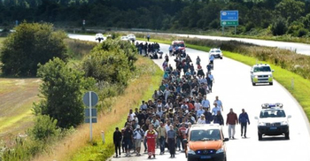 Hungarian army in migrant action drills